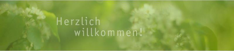 Teamcoaching, Moderation und Seminare f�r Unternehmen, Schulen und Universit&auml;ten